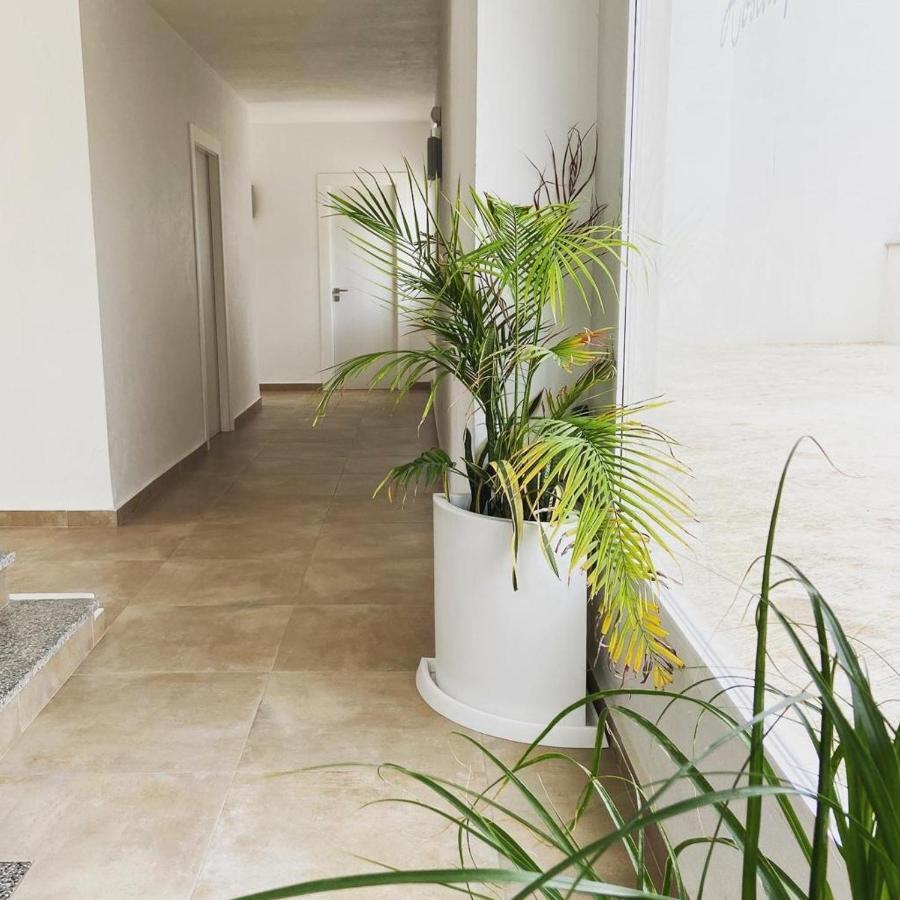Hostal Pitiusa Ibiza Town Exterior photo